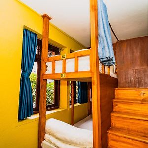 Bed 6-Bed Mixed Dormitory Room